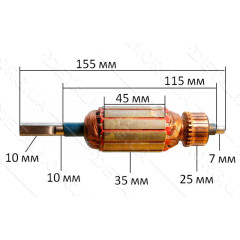 якір виброшлифмашина Stern( 155*35 шліц 10мм)