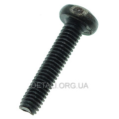 Гвинт Н2-М4х20 болгарки Sparky оригінал 361189 2