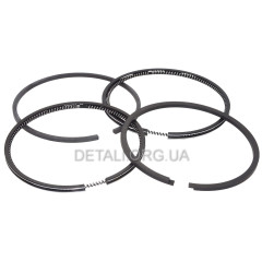 Компрессионые кольца компрессора D100 (h3 - 2шт, h5 - 2шт) 