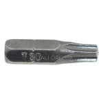 Біта T30 25mm