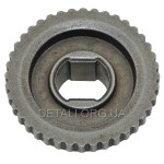 Муфта електропили Stern 405N овал 9*12 D24*35 h13 мм