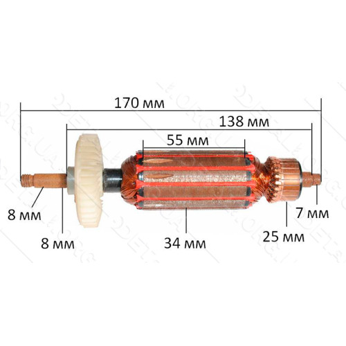 якір болгарка Einhell WS 125( 170*34 посадка 8мм)