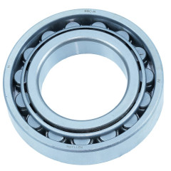 Підшипник BBC-R N309 М P6 (45*100*25)