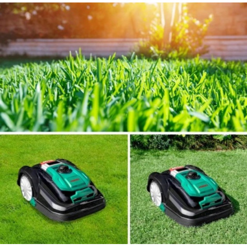 Робот-газонокосилка Ferrex Модель: R800EASY+ Ширина кошения 18 см