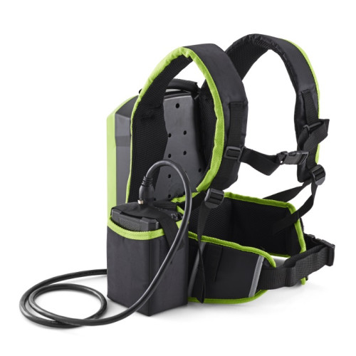 Акумулятор ранцевий Greenworks GC82B10BP (12,5 Ah)