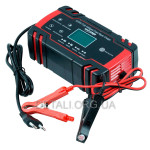 Импульсное зарядное устройство E-Fast ZYX-J30 12V8А/24V4A