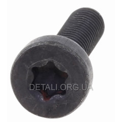 Гвинт кріплення глушника бензопили ECHO CS-600 TORX5 2