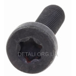 Гвинт кріплення глушника бензопили ECHO CS-600 TORX5