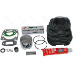 Поршневая бензопилы GoodLuck 4500 d43mm Winzor в комплекте