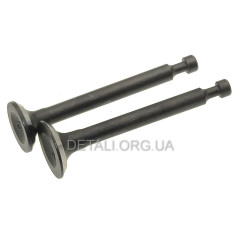 Клапаны мотокосы 4T 139F d12 L44 d13.5 L44 2