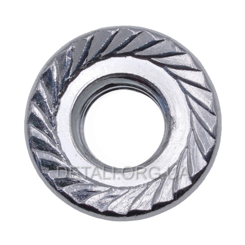 Гайка шины бензопилы Goodluck 2500/3800/4500/5200/5800/6200